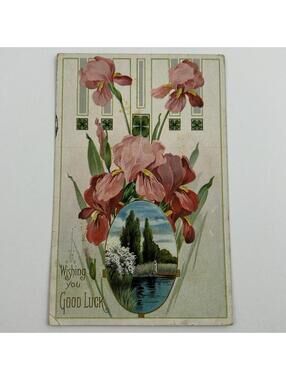 Vintage 1911 Postcard Good Luck Pink Irises Hoople North Dakota ND Divided Back